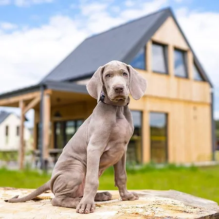 Moje Miejsce Jura Appartement *