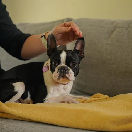 Apartmán Moje Miejsce Jura Lgota Murowana