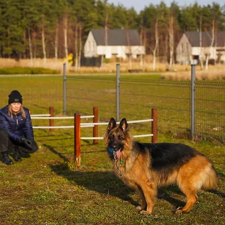 Moje Miejsce Jura Appartement Lgota Murowana