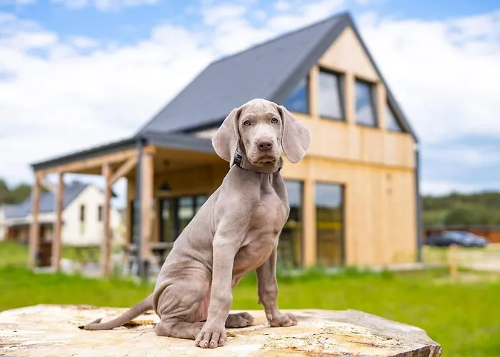 Moje Miejsce Jura Apartmán *