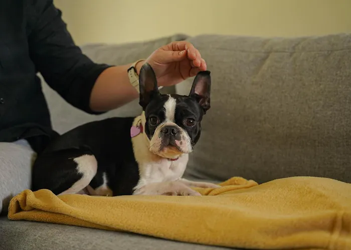 Apartment Moje Miejsce Jura Lgota Murowana