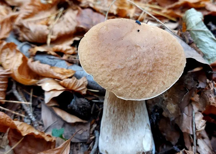 Apartmán Moje Miejsce Jura Lgota Murowana