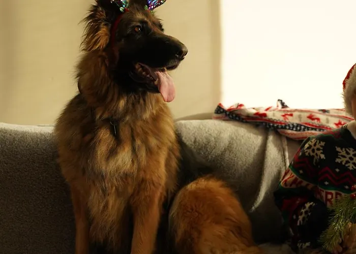 Moje Miejsce Jura Apartmán